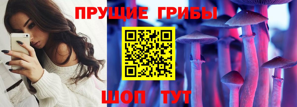 Псилоцибиновые грибы Psilocybe Нурлат