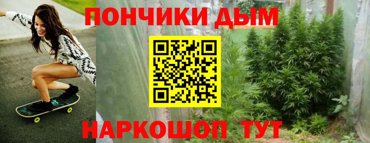 Бошки марихуана сатива  Канабис Bruce Banner  Вход с VPN  Нурлат  МАРИХУАНА MAZAR 